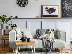 Home & Living