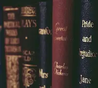 Novel